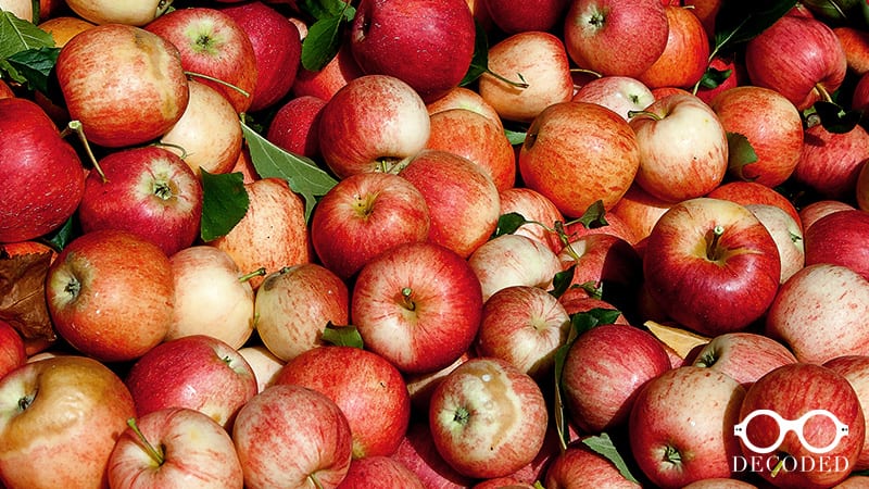 5 ways to use apple cider vinegar - kaia naturals
