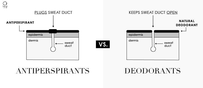 antiperspirants vs deodorants diagram