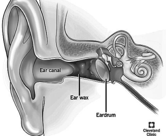 ear anatomy [Converted]