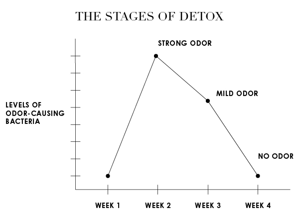 stages of detox